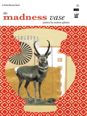 cover image of The Madness Vase